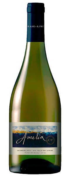 wine bottle