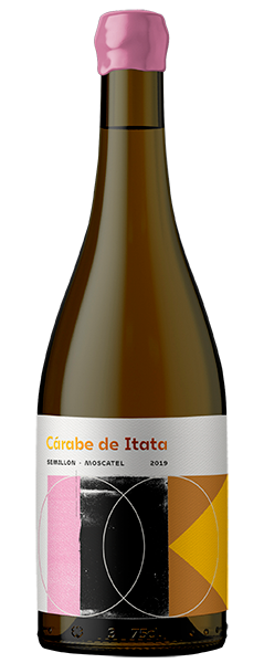 wine bottle